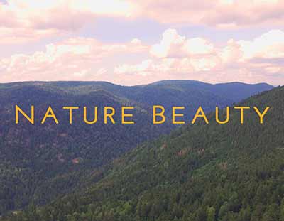 Vol 1 Minute au-dessus du Massif des Vosges en France - Vidéo Aérienne par Drone | Vue Nature Montagnes - Juillet 2021